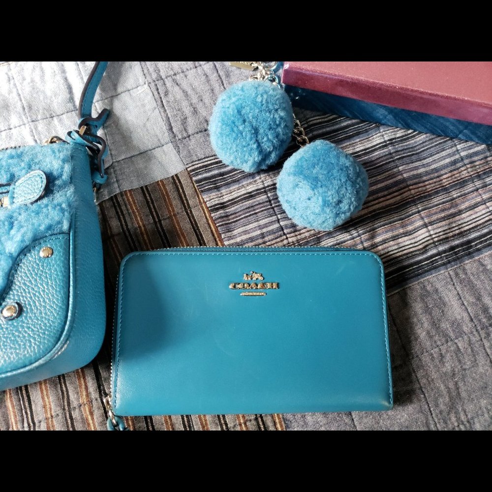 Coach 36490 Small Rhyder Pochette in Shearling blue set - Picture 2 of 7